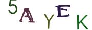 Bild-CAPTCHA