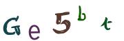 Bild-CAPTCHA