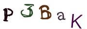 Bild-CAPTCHA
