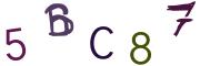 Bild-CAPTCHA