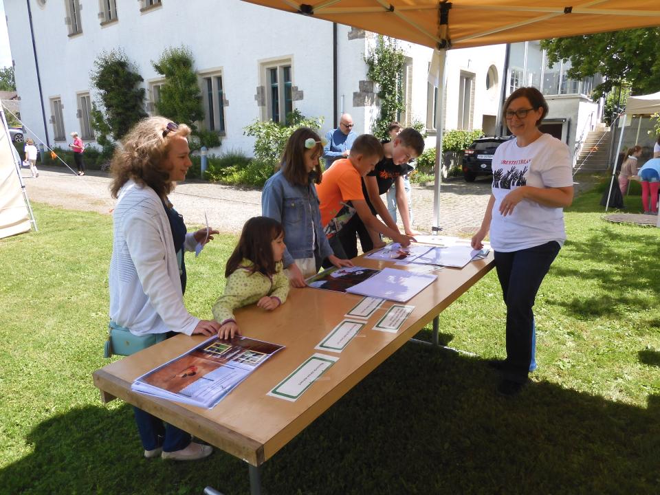 Abenteuerland Wachsen