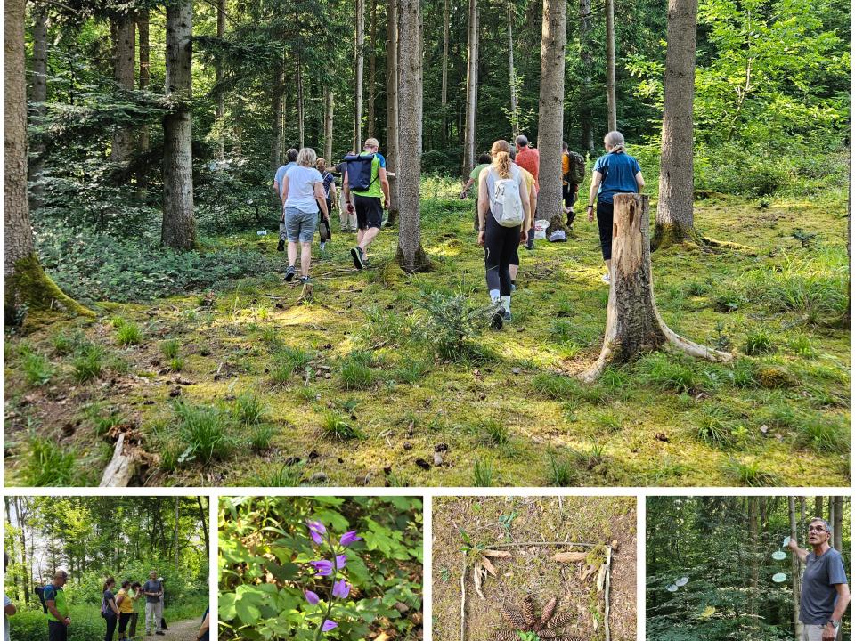 Waldbaden