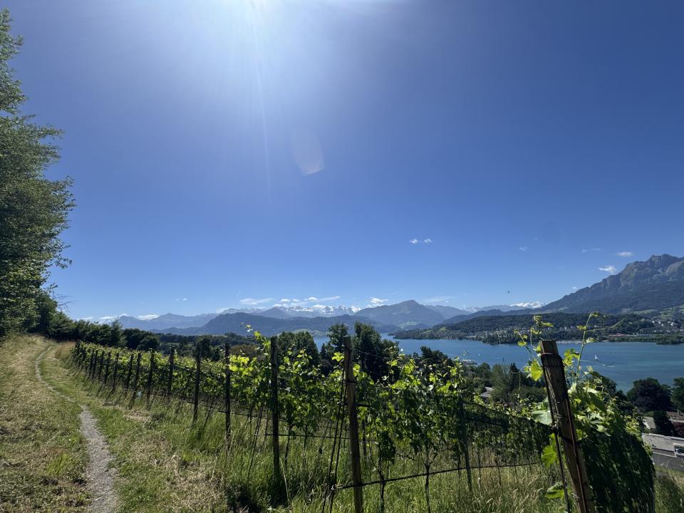 Ausflug FG Gerlisberg