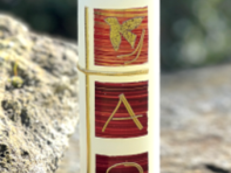 Das Motiv der Osterkerze 2026