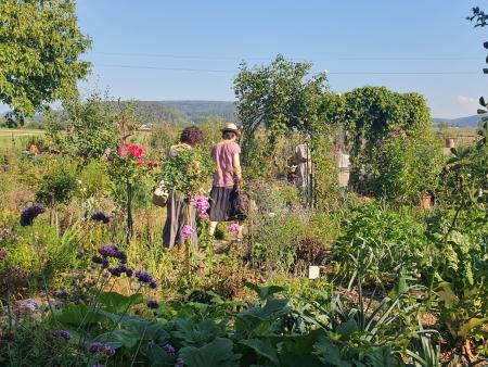 Kräutergarten
