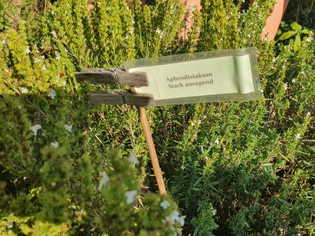 Kräutergarten
