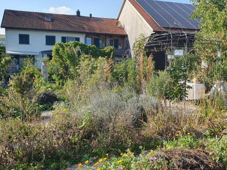 Kräutergarten