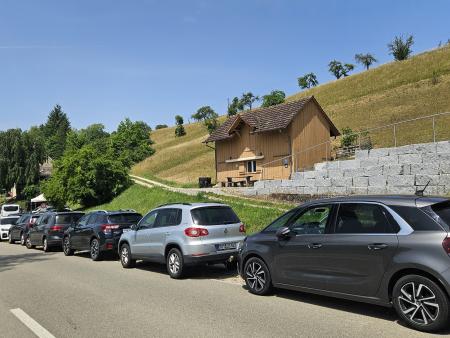Sommerfest SCHL