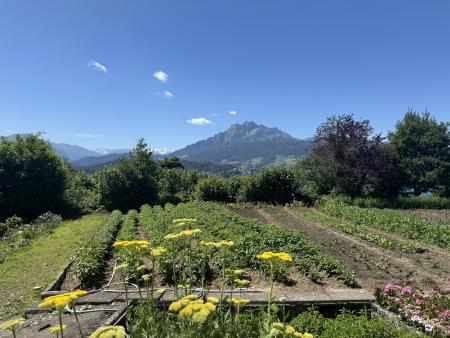 Ausflug FG Gerlisberg