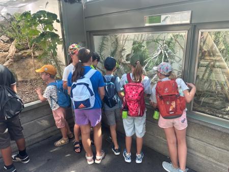 Rückblick: Kinderausflug in den Zürich Zoo 2026