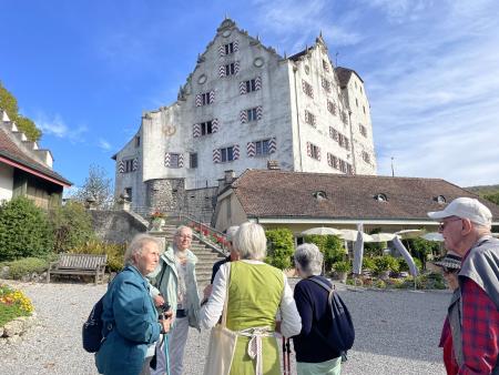 Hallwilersee