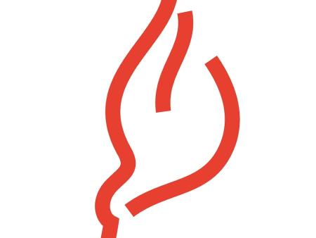 Erfüllt vom Heiligen Geist