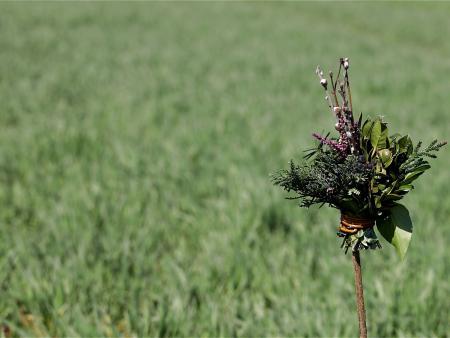 Eucharistiefeier als Familiengottesdienst am Palmsonntag