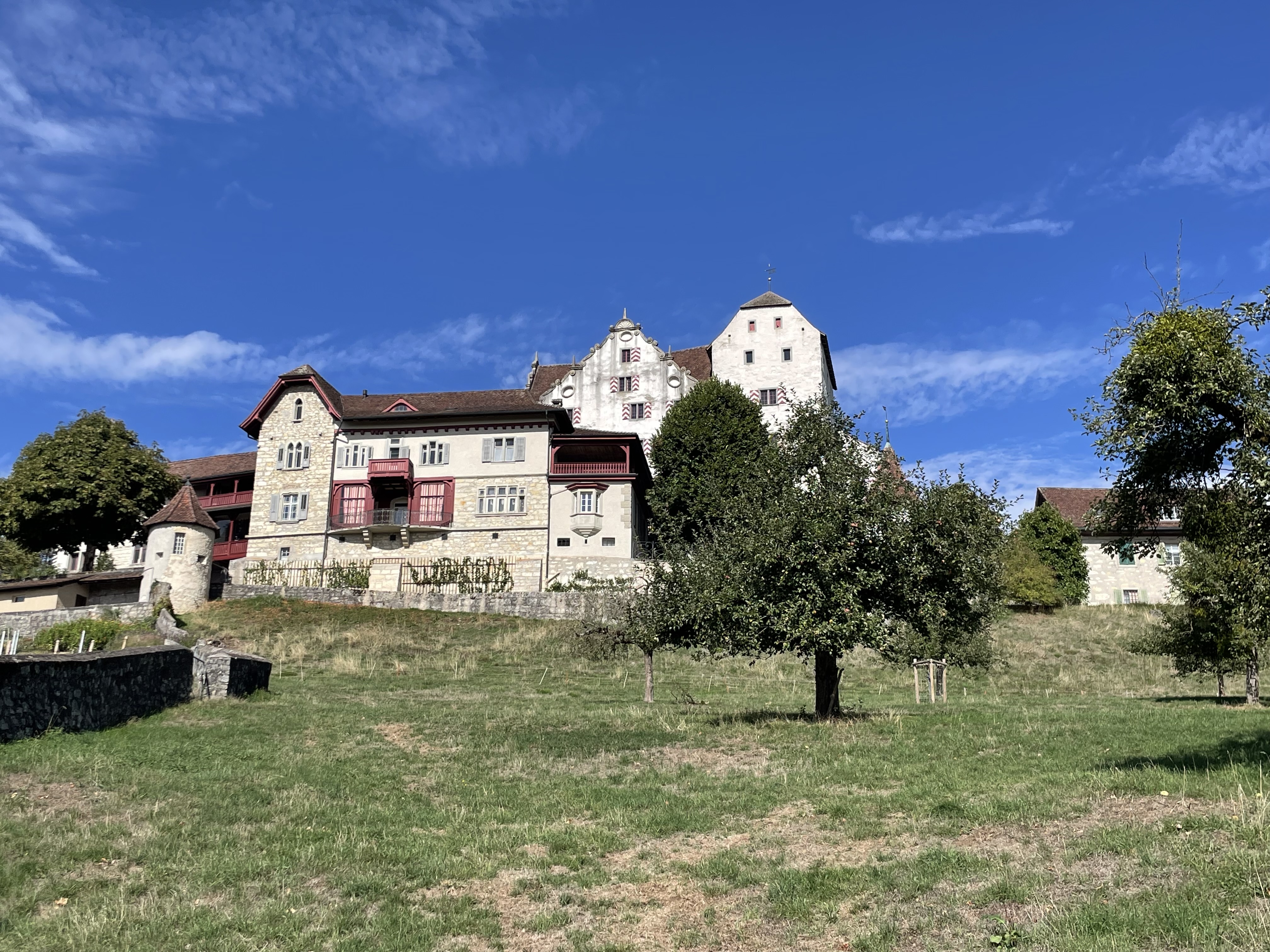 Hallwilersee